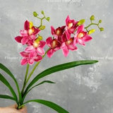 Faux Cymbidium Hybrid Orchid | High Quality Artificial Flower | DIY Floral |  Wedding/Home Decoration | Gifts - Deep Pink