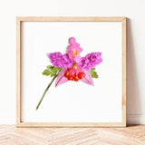 Orchid floral print, Venezuela, bedroom wall art decor, botanical print, Venezuela art, Cattleya Orchid art