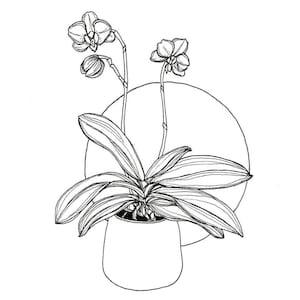 Orchid Plant Ink Drawing Print