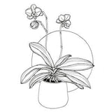 Orchid Plant Ink Drawing Print