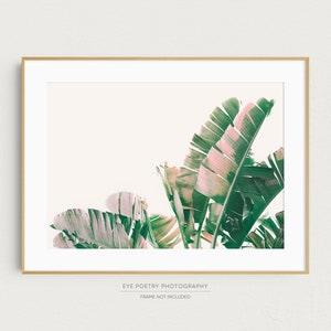 Banana Leaf Print, Tropical Plant Print, Tropical Boho Decor, Boho Wall Art, Prints, California Photography, Wall Decor, Large Art Print