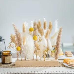 Natural Pampas Grass dreid Flowers Centerpiece Decoration Home Decor Wedding