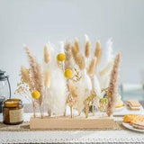 Natural Pampas Grass dreid Flowers Centerpiece Decoration Home Decor Wedding