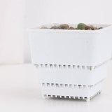Lithops pot, cactus pot, succulent pot, well drain nursing pot, stackable nursing pot set, minimalist pot, thick pot, indoor planting pot