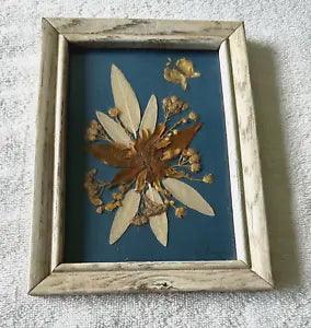 Vintage Pressed Dried Flower Art On Blue Background in Wood Frame