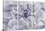 Fushvre 3 Panel Peony Canvas Wall Art Light Purple Flower Picture Painting Decor