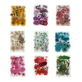 Dried Pressed Flowers for Resin,  Pressed Dried Flowers,  Pressed