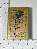 Lily Flower Hampton Art Stamps 1997
