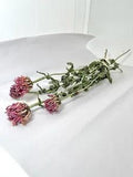 Hang Dried Zinnia Flowers for Decor, Crafting, Arts & Crafts, Dried Flower Bunch