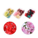 3 Packs DIY Dried Flowers Daisies Leaves Kit Nail Art Decoration Candle