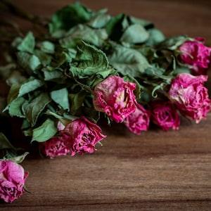 10 Dried roses bouquet, pink natural  dried Roses Dried Arrangements, floral Craft Supply Crafting dried bouquet
