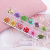 Applique Chrysanthemum Leaves Design Nail Art Sticker 3D Dried Folwer Nail Tip