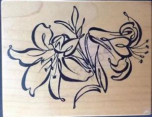PSX? Lily Lillies K-2275 Botanicles 1997 Rubber Stamp Scrapbooking Cards Crafts