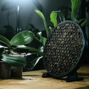 Koto - The Moss Habitat - 3-in-1 Sphagnum Frame for wall, shelf, or centrepiece - Lightweight 3D print