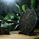 Koto - The Moss Habitat - 3-in-1 Sphagnum Frame for wall, shelf, or centrepiece - Lightweight 3D print