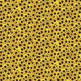 Yellow Mini Sunflowers