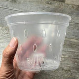 5.5??? clear orchid pot with holes, Clear plastic pot, Plastic flower pot for orchids, Clear pot for medium orchids