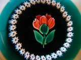 Caithness Glass Flower of Month August Carnation  Millefiori Paperweight