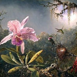 Cattleya Orchid & Three Hummingbirds Martin Johnson Heade Lily Rainforest Jungle Gothic Flower Botanical Painting Floral Horticulture Prints