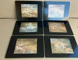 6 Clover Leaf Traditional Table Mats Birds Flower Cork Back Lily Pad Vintage UK