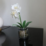 Artificial Faux White Orchid with Plant Holder | Stunning Indoor Plant for Home Decor | Beautiful Unique Planter as Decorative Accessory