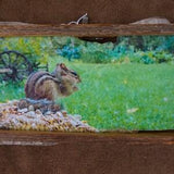 Chipmunk in sunflower, on stone with cedar frame, 3.5x8 print size, finished size is 4x9