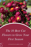Check Out These Must-Grow Cut Flowers - Lynsey Taulbee Flower Delivery