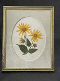 Pressed Heliopsis Yellow Prairie Flower In A Vintage Frame