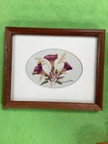 BEAUTIFUL FRAMED DRIED FLOWER UNDER GLASS