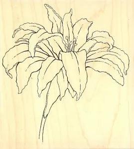 Flower Open Lacy Lily Wood Mounted Rubber Stamp IMPRESSION OBSESSION F16279 New