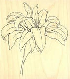 Flower Open Lacy Lily Wood Mounted Rubber Stamp IMPRESSION OBSESSION F16279 New