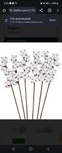 Cotton Stems Natural Dried Cotton 30 Bolls Cotton Sprigs Cotton Blooms Floral