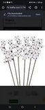 Cotton Stems Natural Dried Cotton 30 Bolls Cotton Sprigs Cotton Blooms Floral