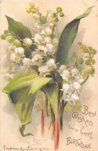 Gorgeous Lily of the Valley on Old Birthday PC by Catherine Klein-Series No. 112