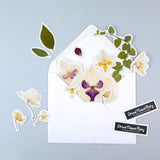 Natural flowers sticker pack,  pressed Orchids set(14 pcs), dried petals, Herbarium decals for scrapbooking with Phalaenopsis, for Laptop