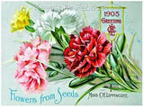 Carnations Flowers Seed Packet Quilt Block Multi Szs FrEE ShiP WoRld WiDE (916A