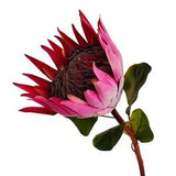 Purple Red Queen Protea Premium Quality Very Realistic Artificial FlowersCraft Supplies Greenery For Floral Bouquets Silk Flowers