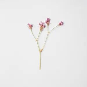 12PCS Real Pressed Dry Flower with stem, pink flower for art candle craft FSS49