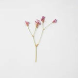 12PCS Real Pressed Dry Flower with stem, pink flower for art candle craft FSS49