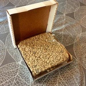 Pumice, pumice stone, 3 to 6 mm, for cuttings, cacti and succulents ,sample format, soil amendment, addition, supplement, decoration