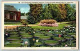 St. Louis, Missouri - Day & Night Blooming Tropical Lilies - Vintage Postcard