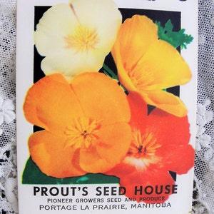 Vintage Seed Packet Colorful California Poppies Poppy Flowers Suitable To Frame, Farmhouse Cottage Decor Scrapbooking Crafts Weddings Gifts