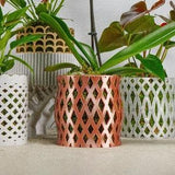 Unique Orchid Pot, Plant Pot with Drainage and Saucer, 3D Printed Planter, Use Leca  & Aroid Mixes, Matte White,  Lightweight, Capricious