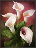 Calla Lilies - Chart Counted Cross Stitch Patterns Needlework DIY DMC