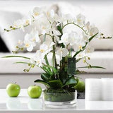 Vicky Yao Faux Floral - Exclusive Design White Artificial Orchid Arrangement