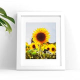 Sunflower Season | Sunflower Print, Floral Print, Garden Wall Art, Flower Poster, Nature Photography, Summer House D??cor