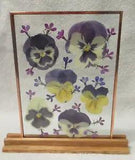 Dried Pressed Pansies in Floating Glass Frame: 7.5" X 5.5 Inch"