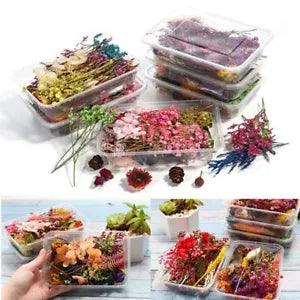 3 Box Random Real Dried Flower Resin Mold Fillings Jewelry Making Craft Supplies