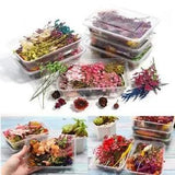 3 Box Random Real Dried Flower Resin Mold Fillings Jewelry Making Craft Supplies
