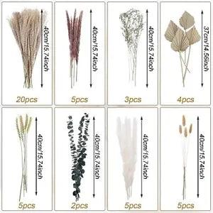 49PCS Natural Dried Flowers with Dried Palm Grass Dried Eucalyptus Pampas